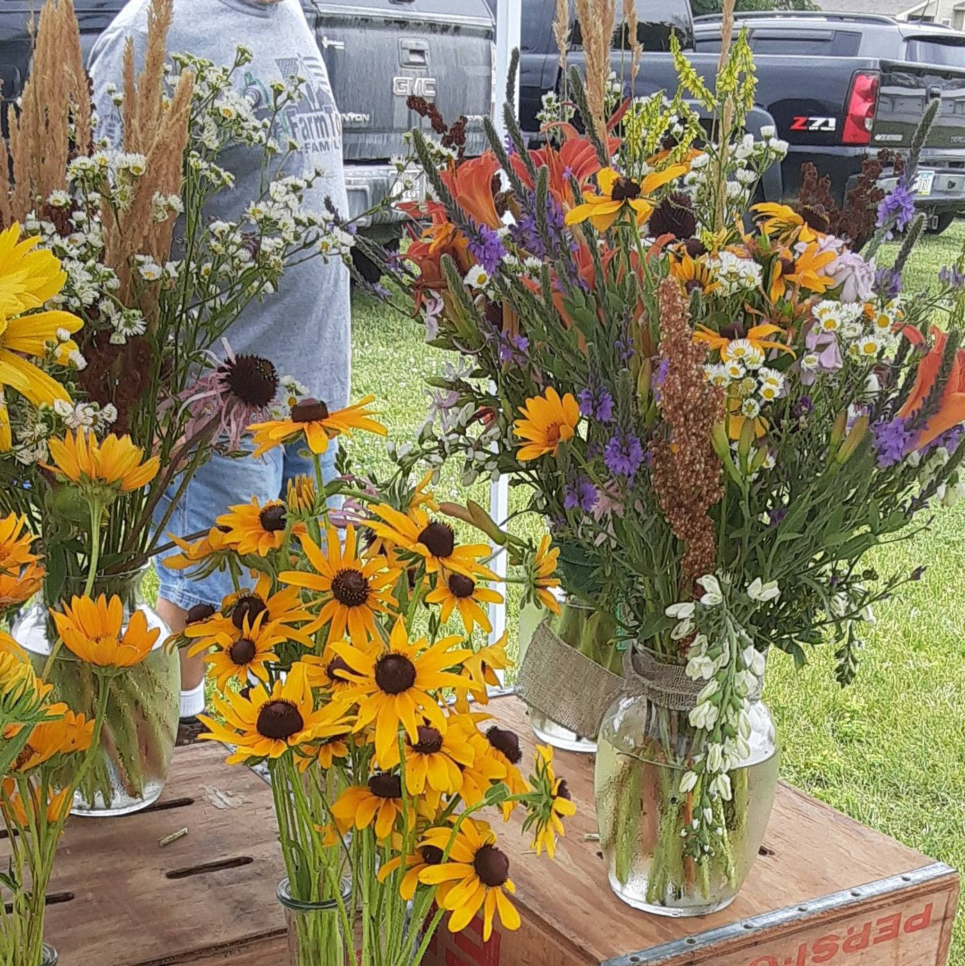 508412450 1058563353074555 4769169467092417305 n