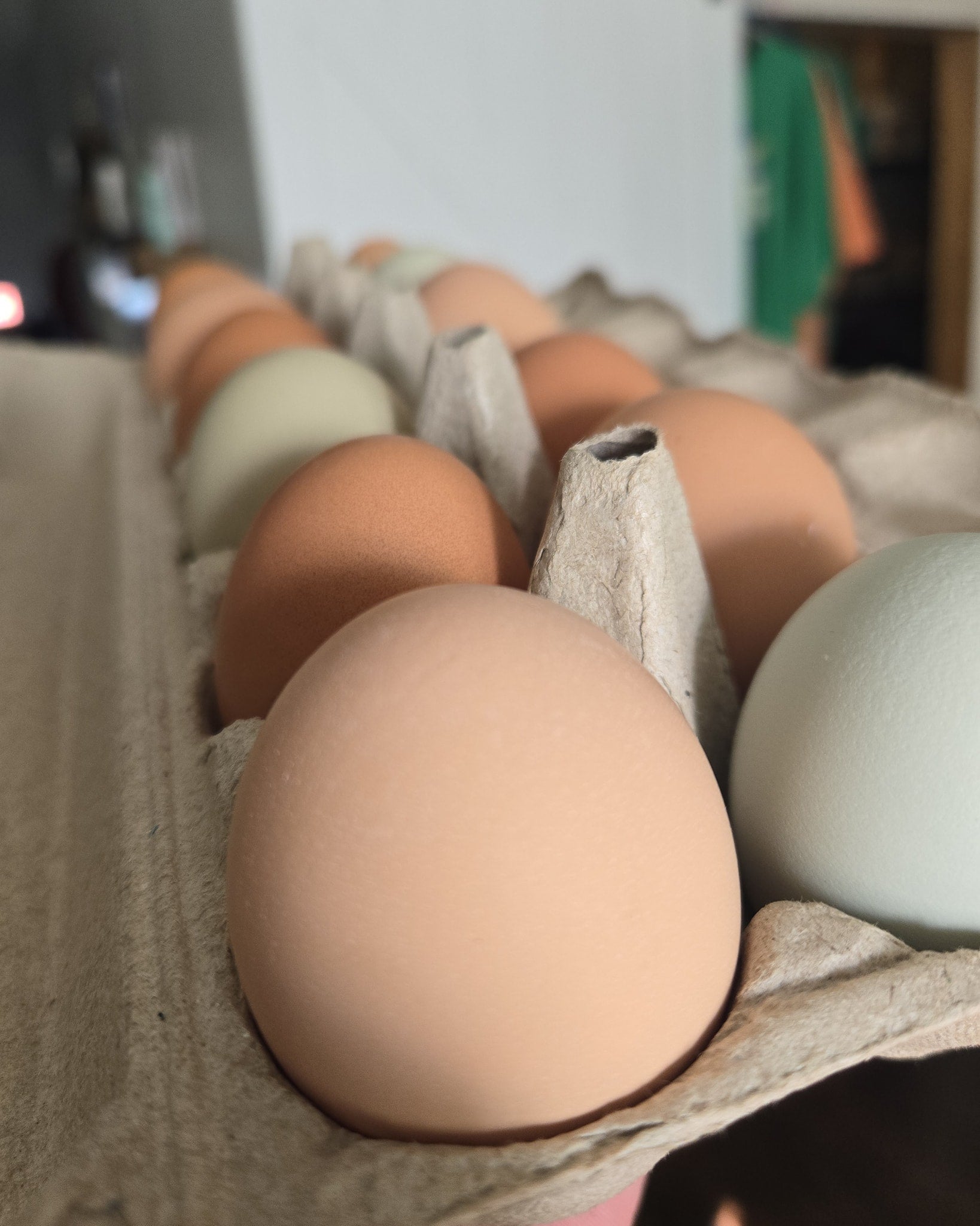 543503336 630097903507846 7354695836883210260 n